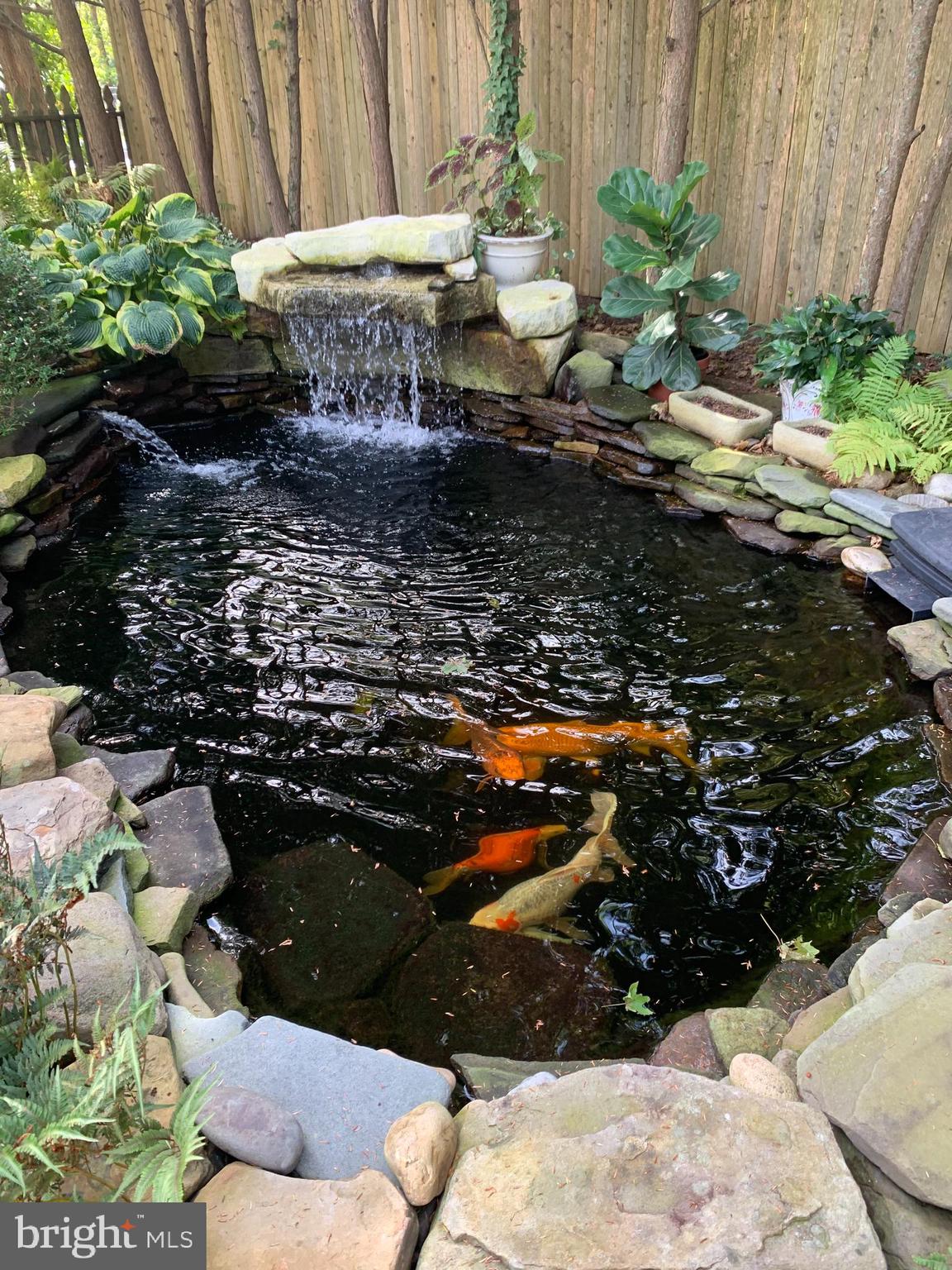 759 River Road Trenton, NJ 08628 - Photo 19 of 26 Deep Coy pond-Coy have gone to a new home