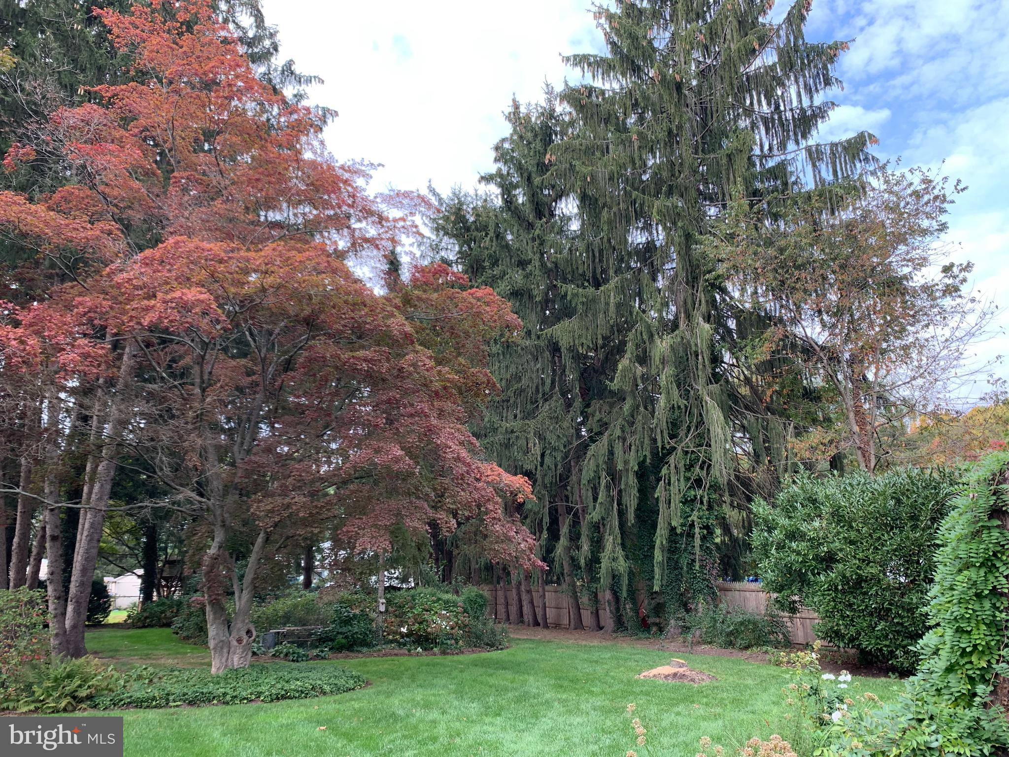 759 River Road Trenton, NJ 08628 - Photo 2 of 26 Park Like Back yard- on .8596 of an acre