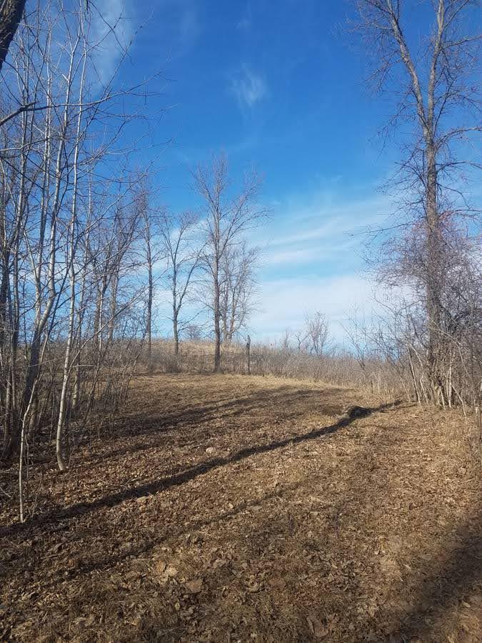 24793 Franklin Lake Road Pelican Rapids, MN 56572 - Photo 14 of 60