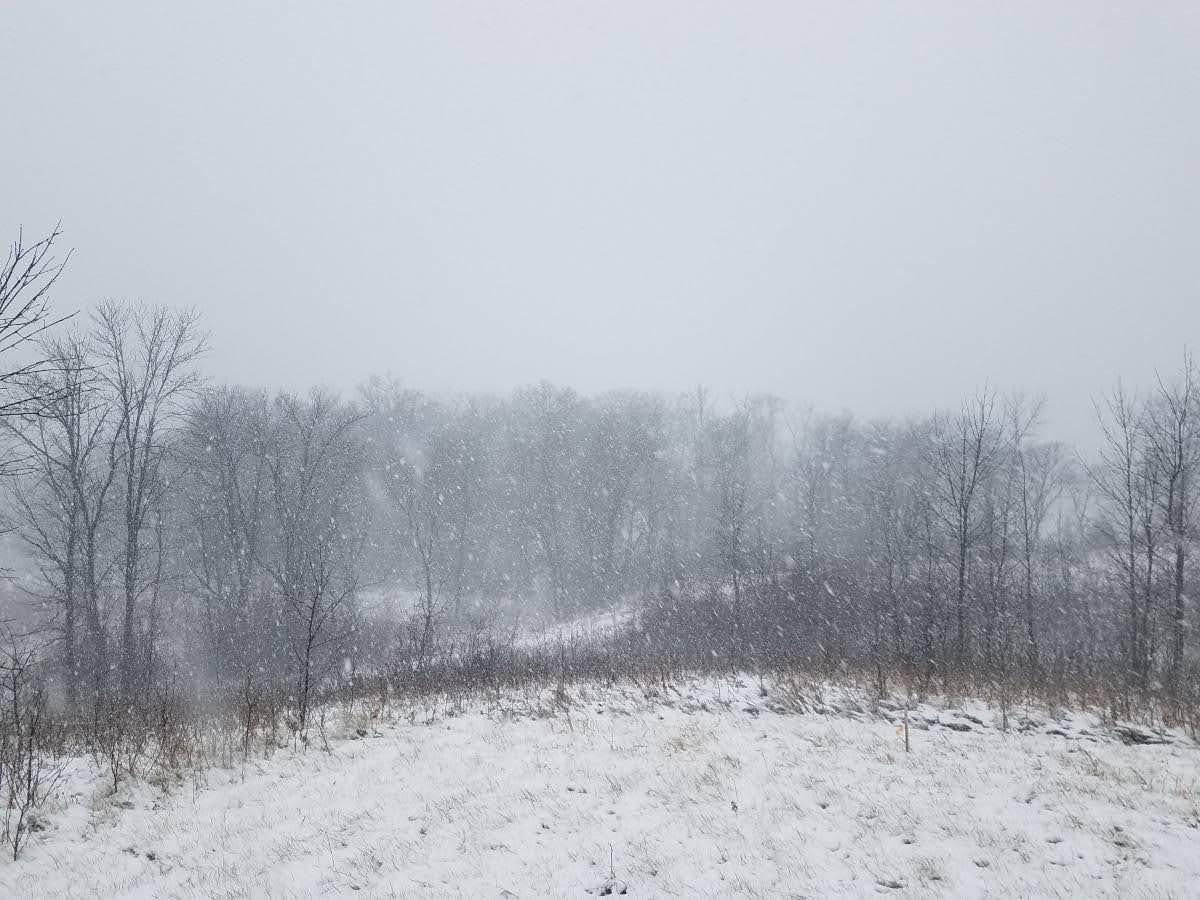 24793 Franklin Lake Road Pelican Rapids, MN 56572 - Photo 15 of 60