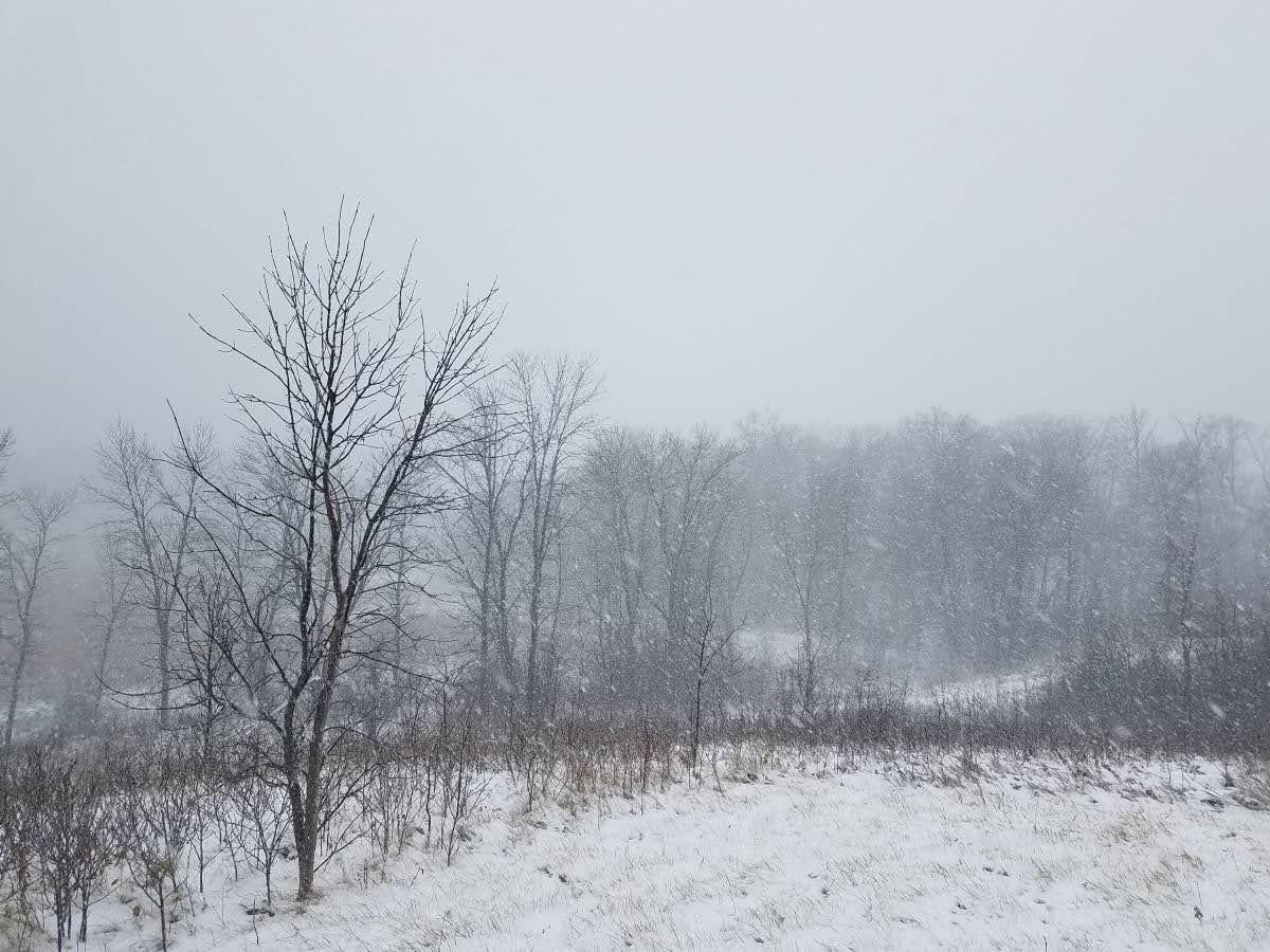 24793 Franklin Lake Road Pelican Rapids, MN 56572 - Photo 16 of 60