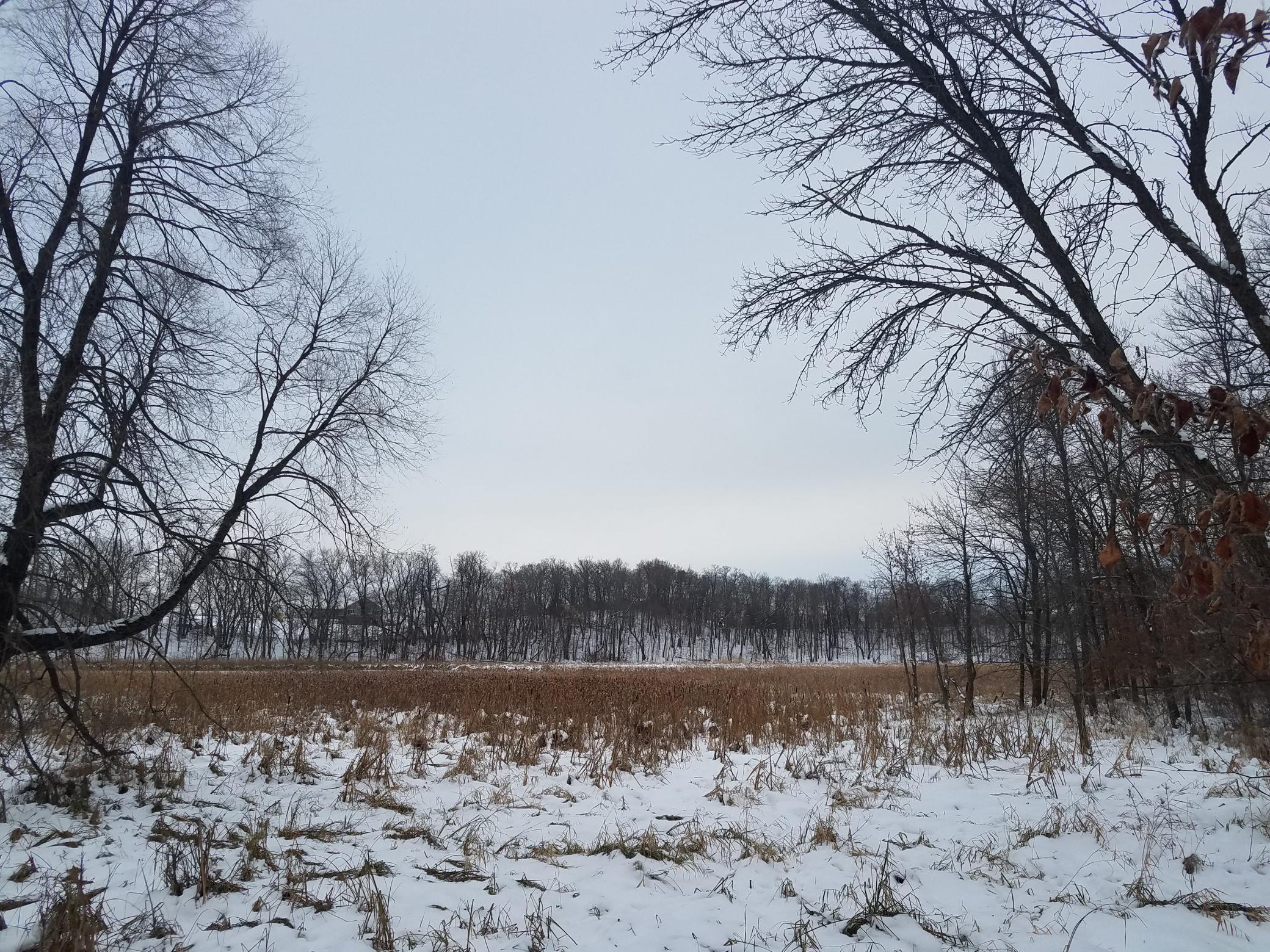 24793 Franklin Lake Road Pelican Rapids, MN 56572 - Photo 17 of 60