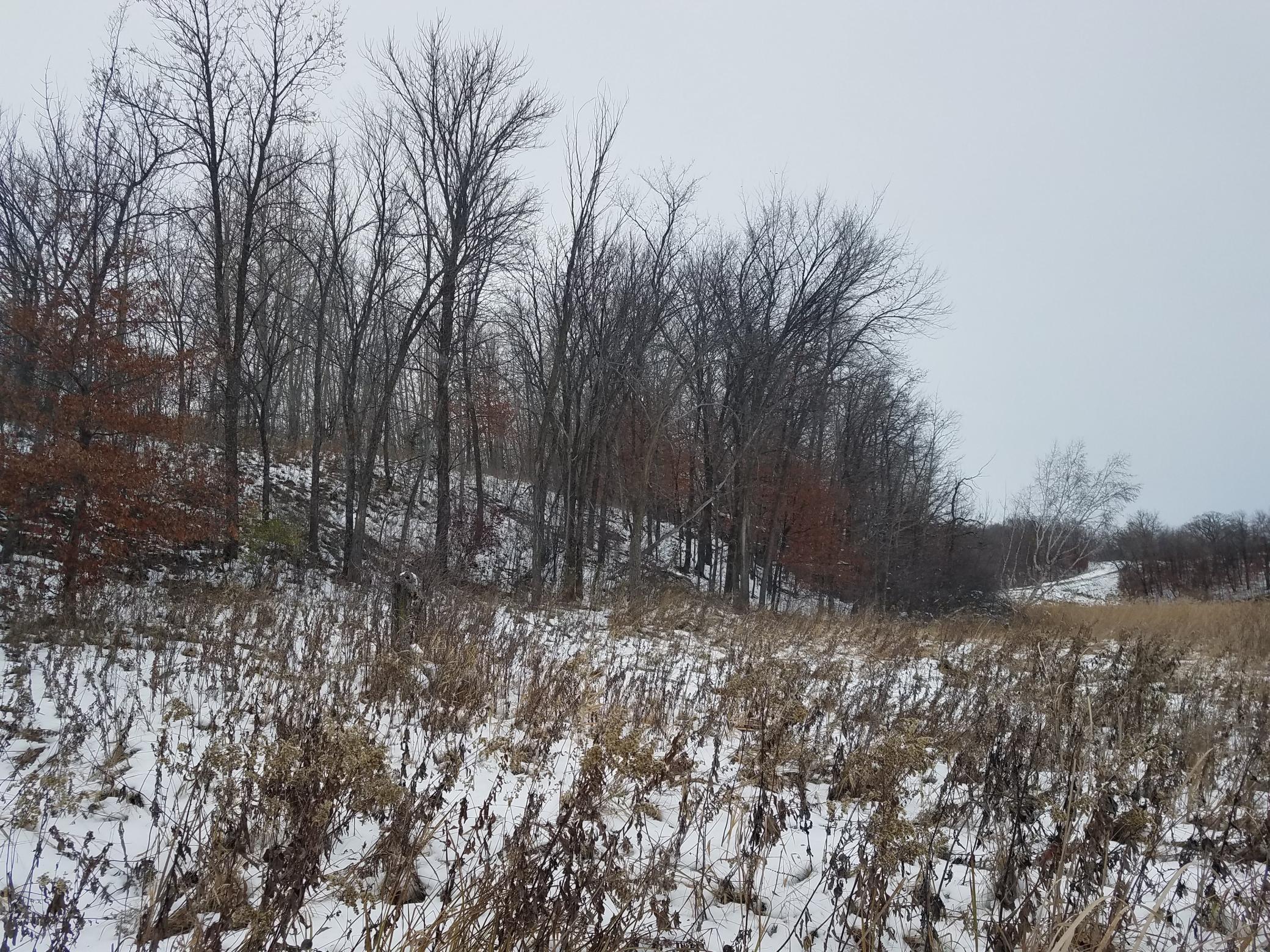 24793 Franklin Lake Road Pelican Rapids, MN 56572 - Photo 18 of 60