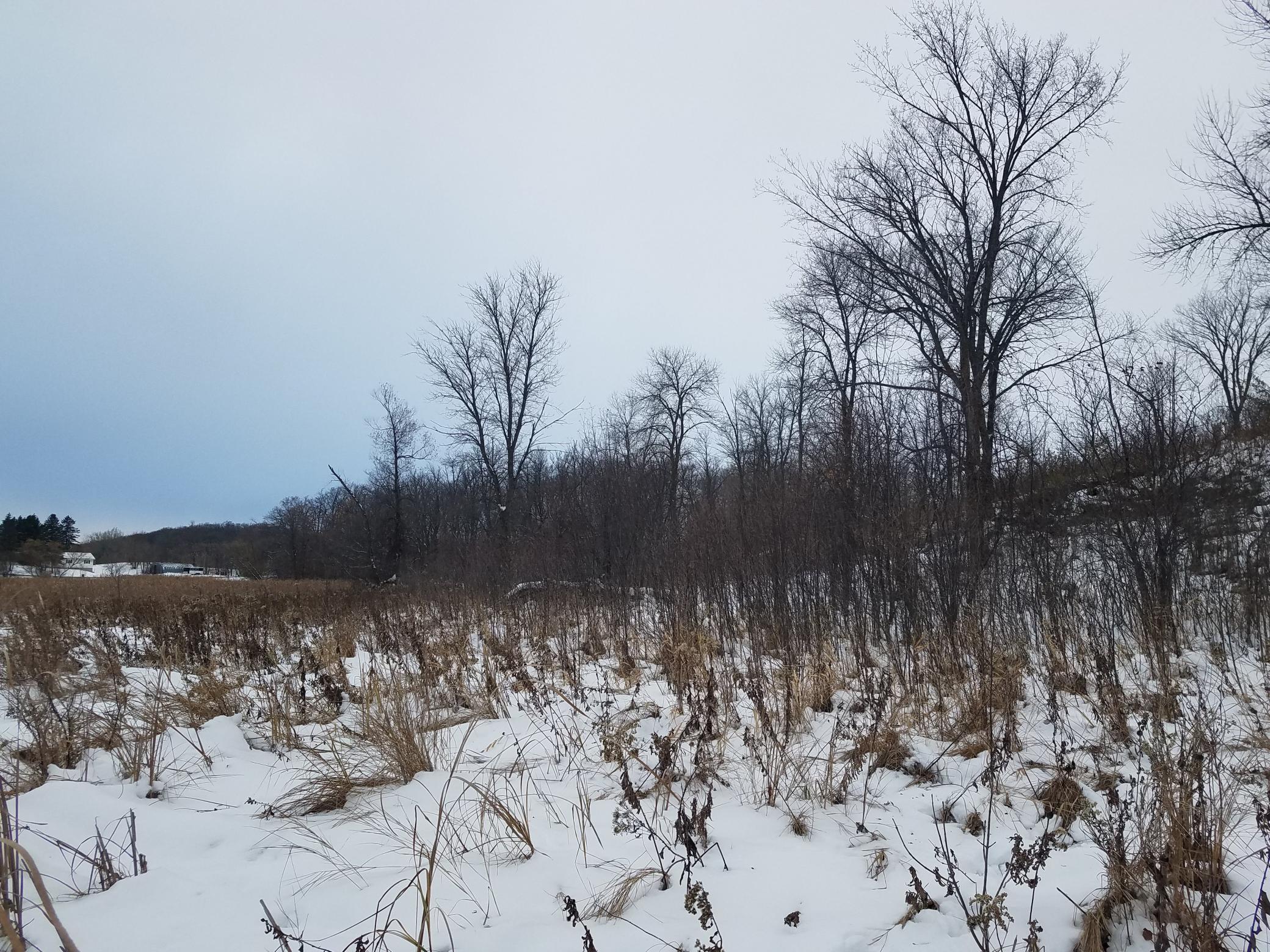 24793 Franklin Lake Road Pelican Rapids, MN 56572 - Photo 19 of 60