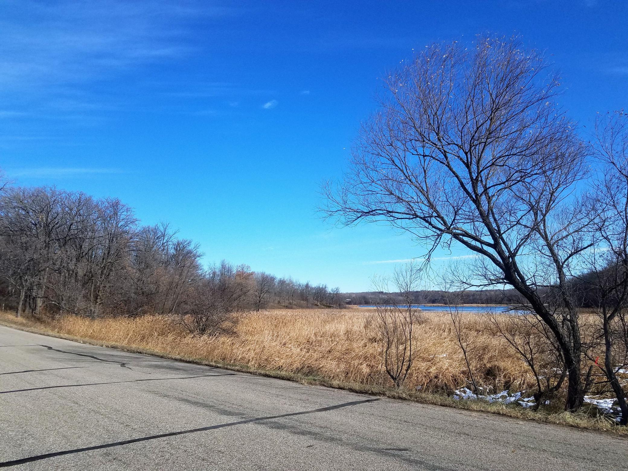 24793 Franklin Lake Road Pelican Rapids, MN 56572 - Photo 20 of 60