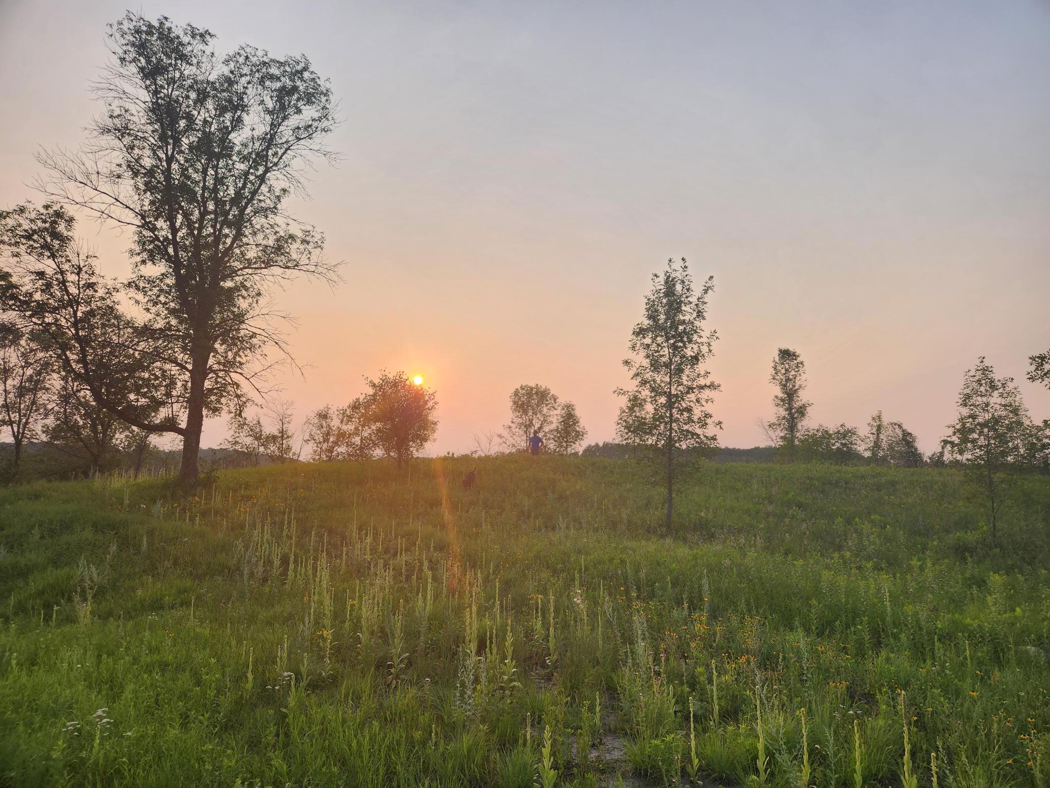 24793 Franklin Lake Road Pelican Rapids, MN 56572 - Photo 2 of 60