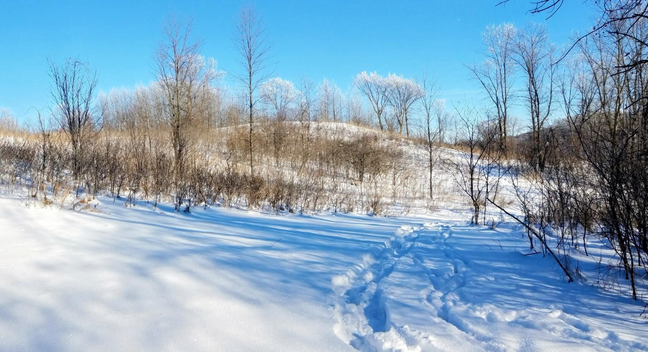 24793 Franklin Lake Road Pelican Rapids, MN 56572 - Photo 22 of 60