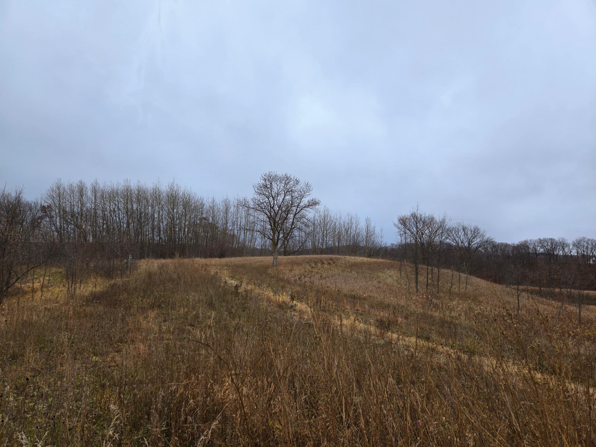 24793 Franklin Lake Road Pelican Rapids, MN 56572 - Photo 30 of 60