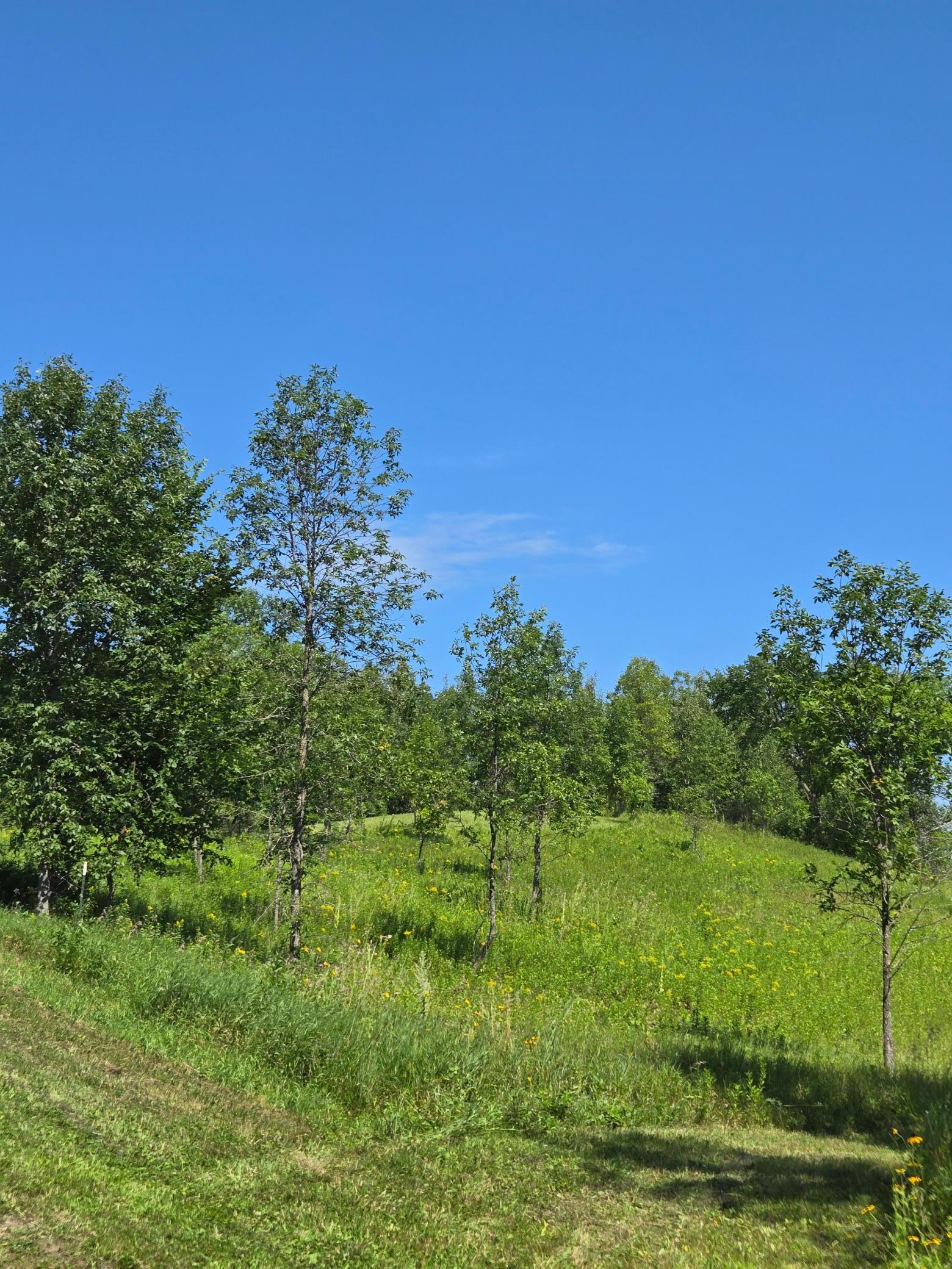 24793 Franklin Lake Road Pelican Rapids, MN 56572 - Photo 31 of 60