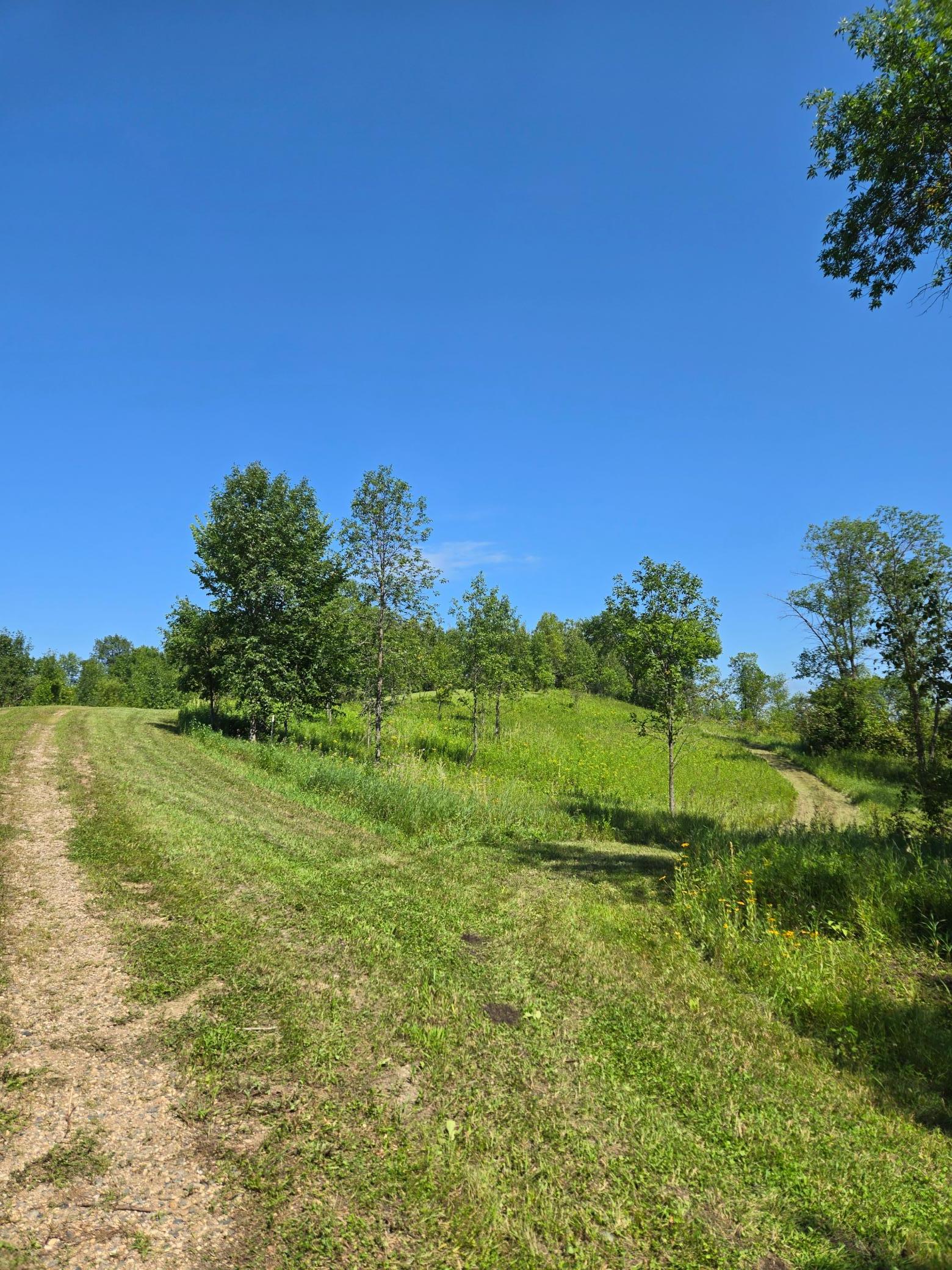 24793 Franklin Lake Road Pelican Rapids, MN 56572 - Photo 32 of 60