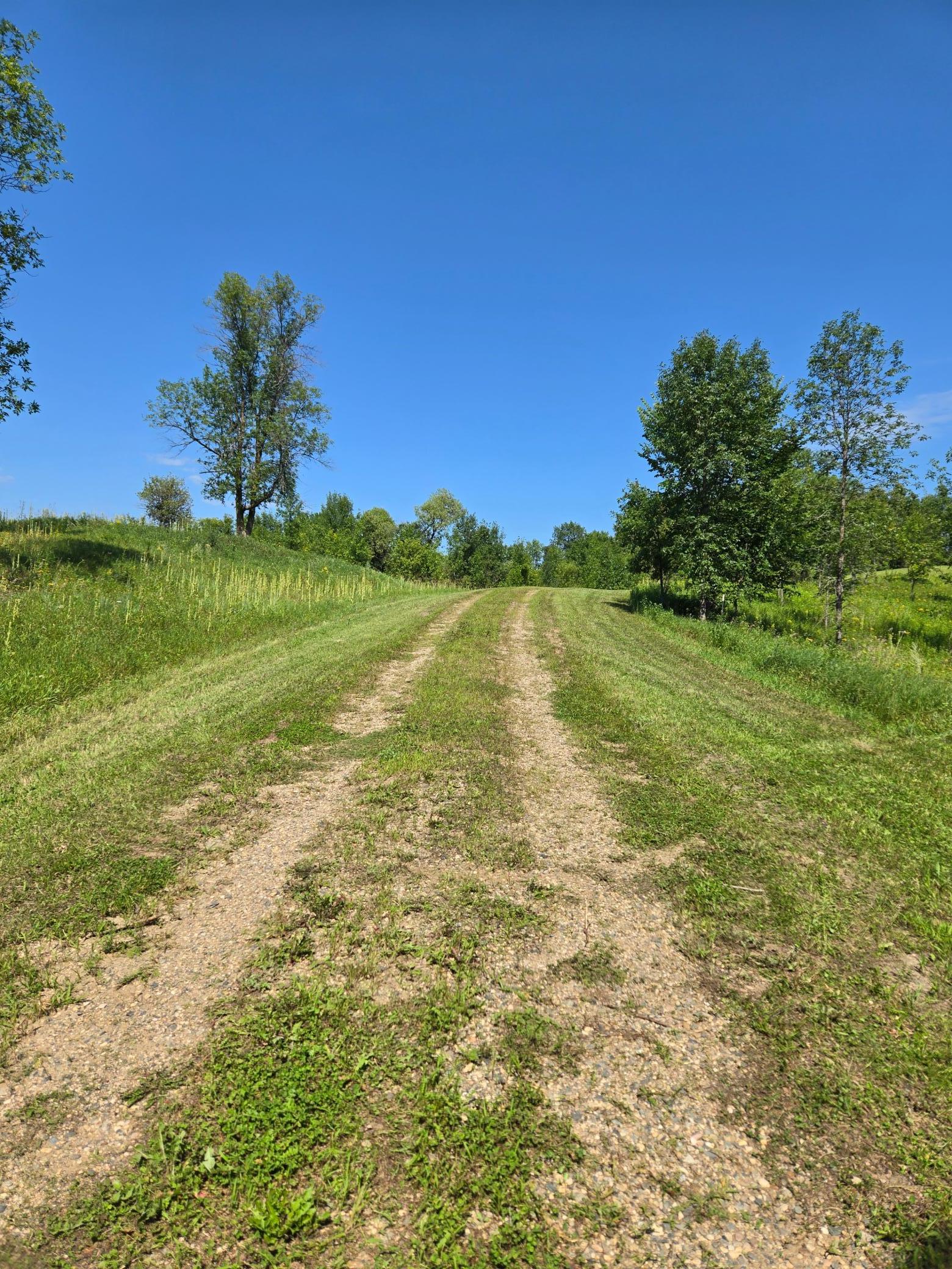 24793 Franklin Lake Road Pelican Rapids, MN 56572 - Photo 33 of 60