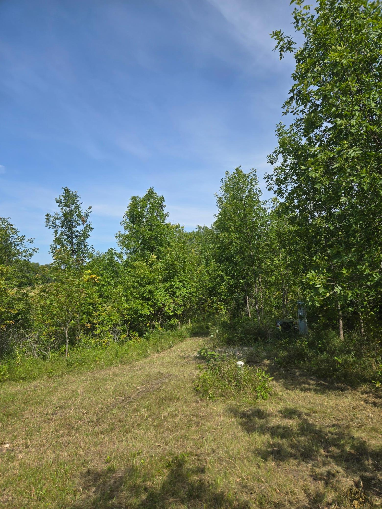 24793 Franklin Lake Road Pelican Rapids, MN 56572 - Photo 39 of 60