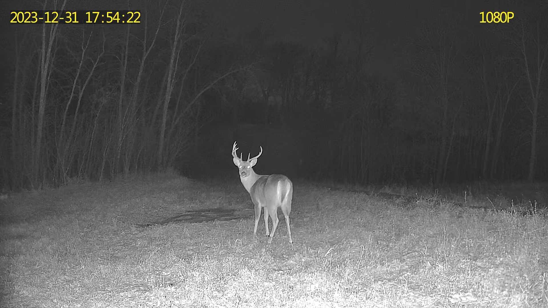 24793 Franklin Lake Road Pelican Rapids, MN 56572 - Photo 59 of 60