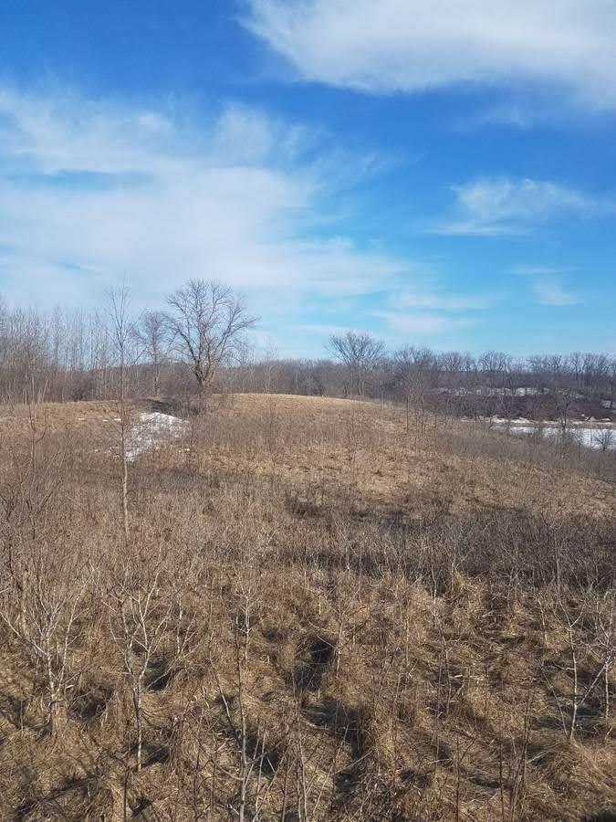 24793 Franklin Lake Road Pelican Rapids, MN 56572 - Photo 7 of 60