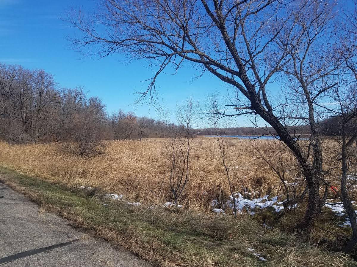 24793 Franklin Lake Road Pelican Rapids, MN 56572 - Photo 8 of 60