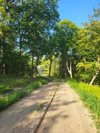 24793 Franklin Lake Road Pelican Rapids, MN 56572 - Photo 9 of 60