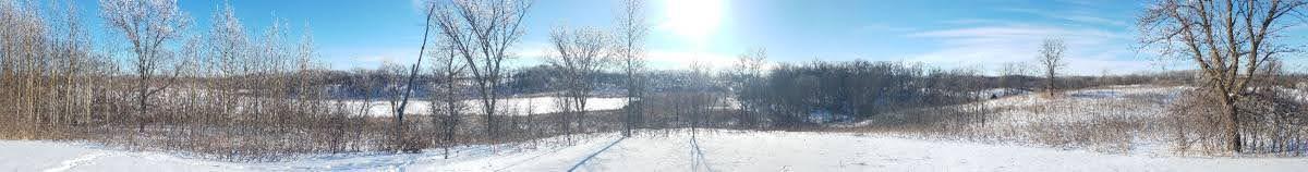 24793 Franklin Lake Road Pelican Rapids, MN 56572 - Photo 10 of 60