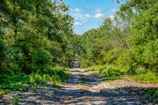 $1,599,000 | 511 Lcr 793, Groesbeck, TX 76642