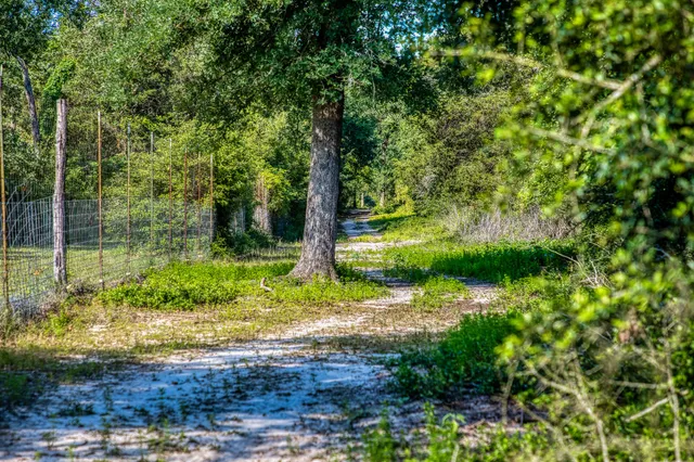 $1,599,000 | 511 Lcr 793, Groesbeck, TX 76642