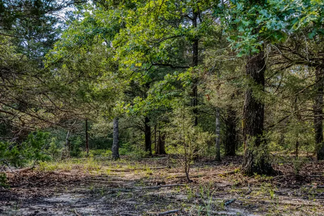 $1,599,000 | 511 Lcr 793, Groesbeck, TX 76642