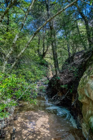 $1,599,000 | 511 Lcr 793, Groesbeck, TX 76642