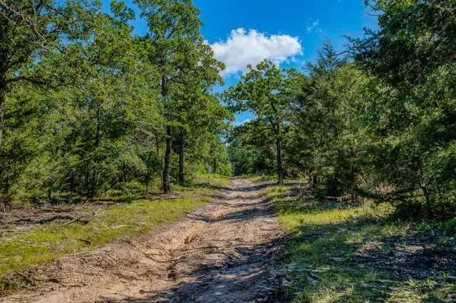 $1,599,000 | 511 Lcr 793, Groesbeck, TX 76642