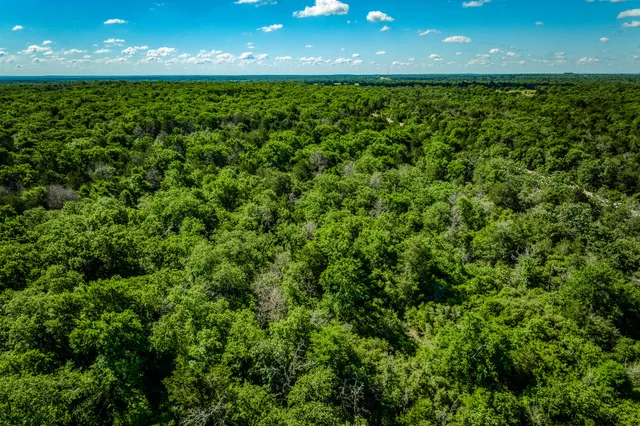 $1,599,000 | 511 Lcr 793, Groesbeck, TX 76642