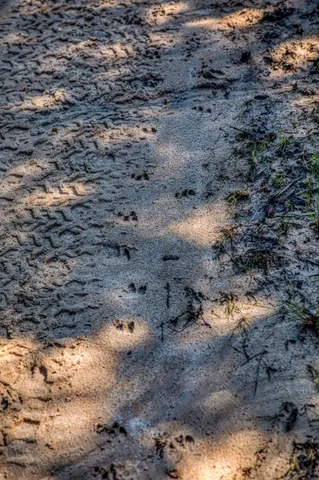 $1,599,000 | 511 Lcr 793, Groesbeck, TX 76642