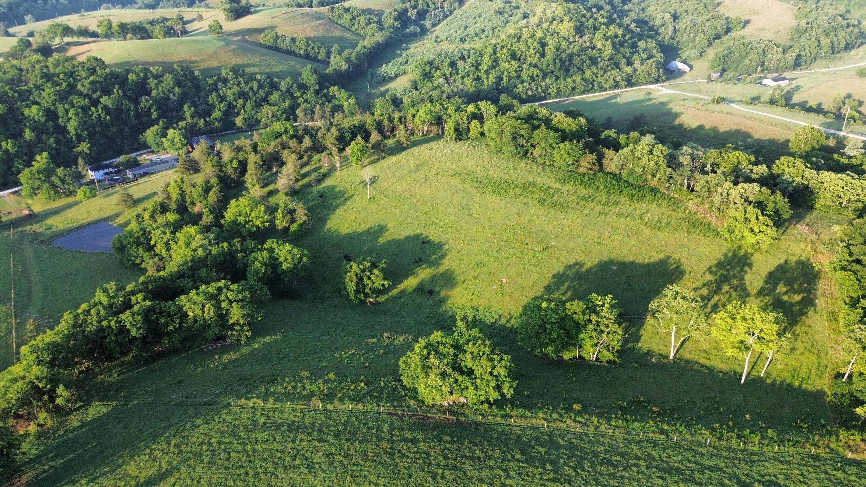 180 Ceder Road Owingsville, KY 40360 - Photo 46 of 50 95