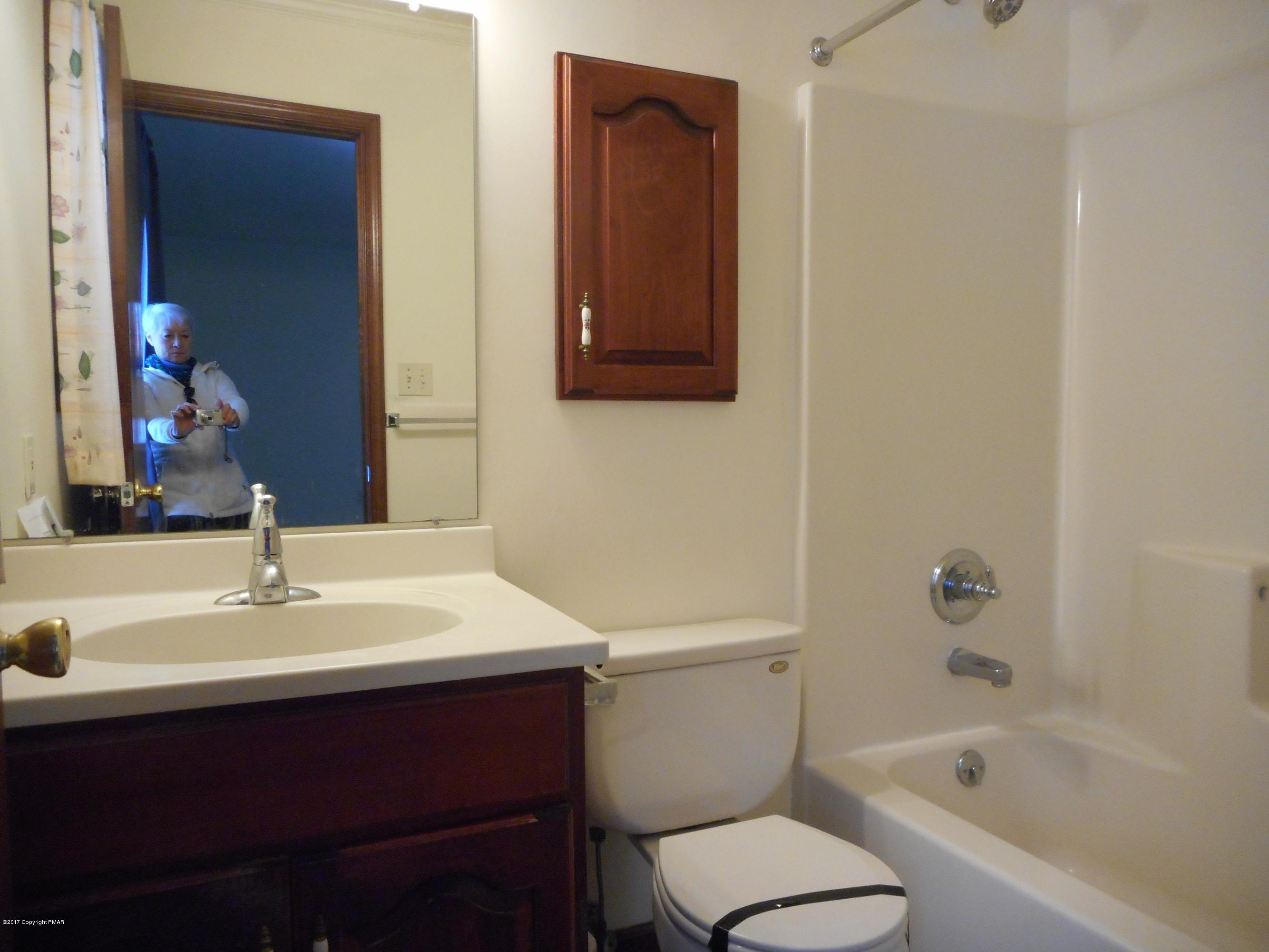 385 Blue Ridge Drive Canadensis, PA 18325 - Photo 15 of 28 Master bath