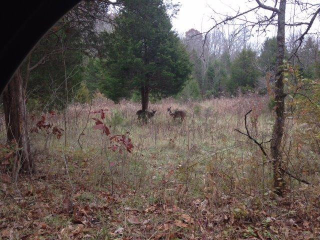 1 Baxter Ridge Road Lawrenceburg, KY 40342 - Photo 2 of 13 Photo 2