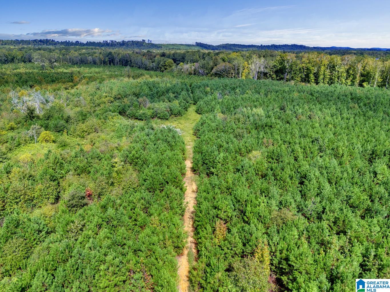 0 Warrior Road Ohatchee, AL 36271 - Photo 7 of 25