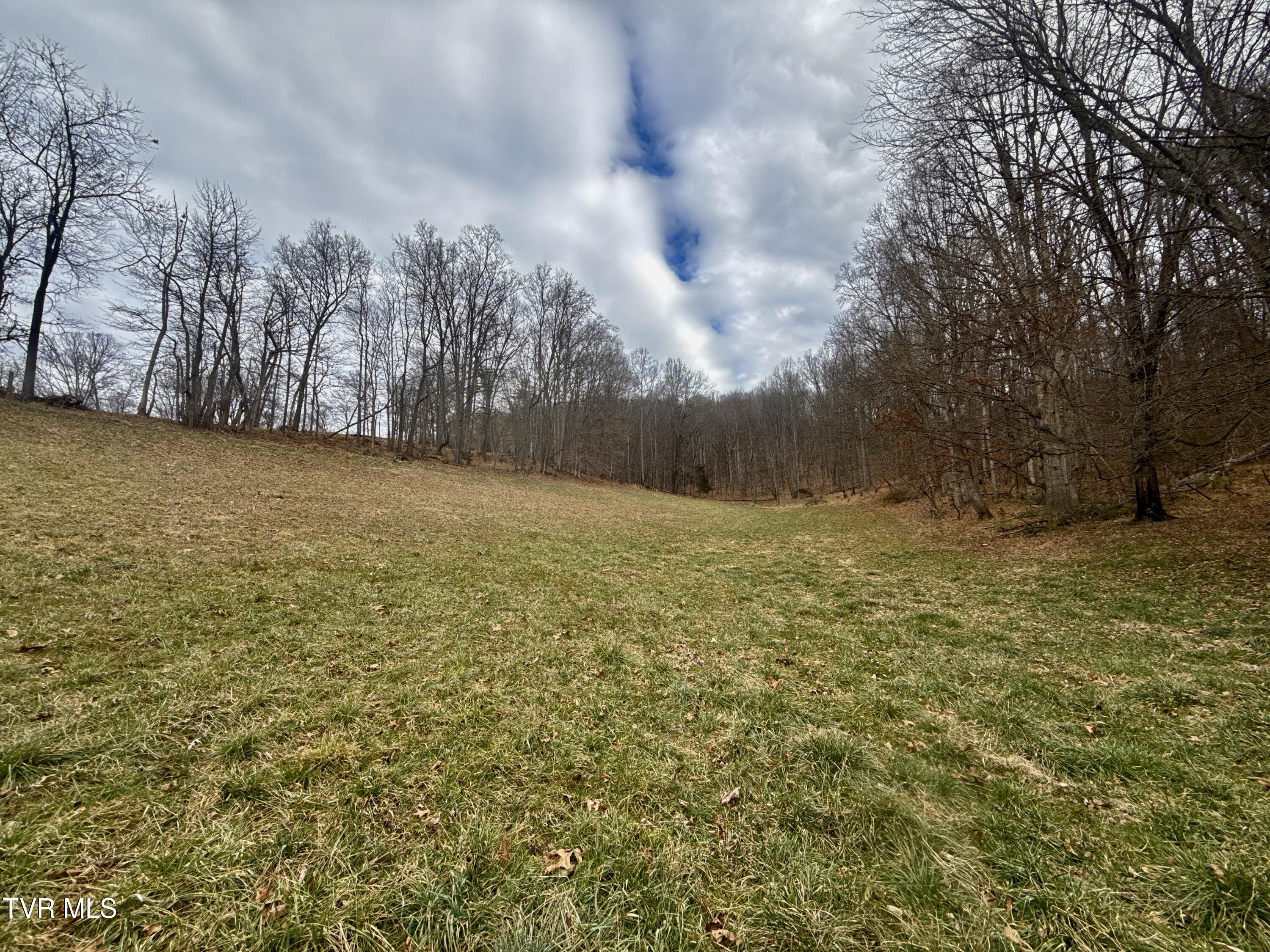 219 Ridge Road Eidson, TN 37731 - Photo 30 of 63 _Pic29 (26)