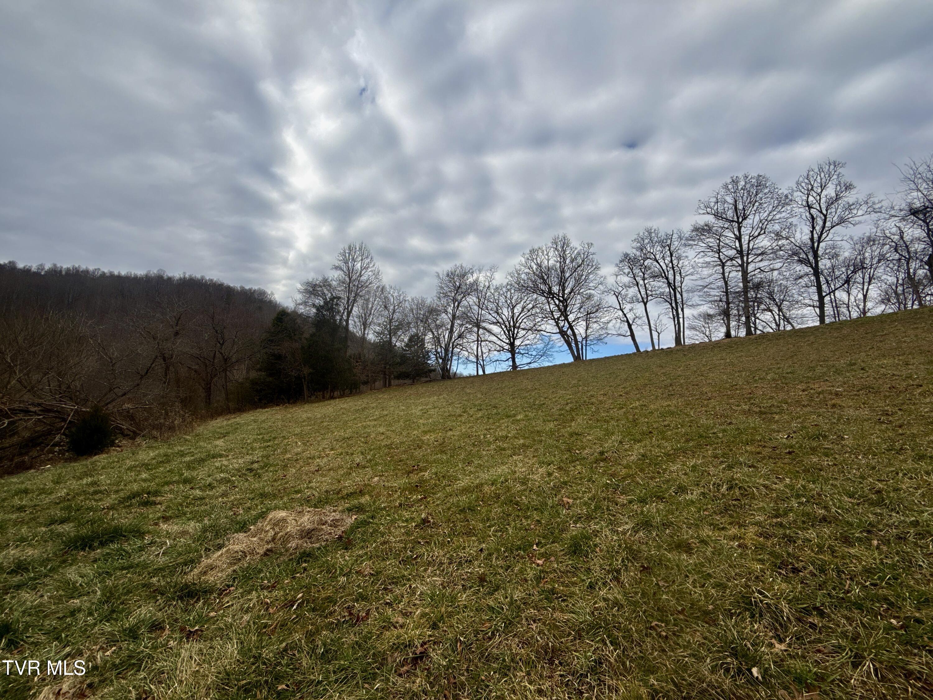 219 Ridge Road Eidson, TN 37731 - Photo 31 of 63 _Pic30 (23)