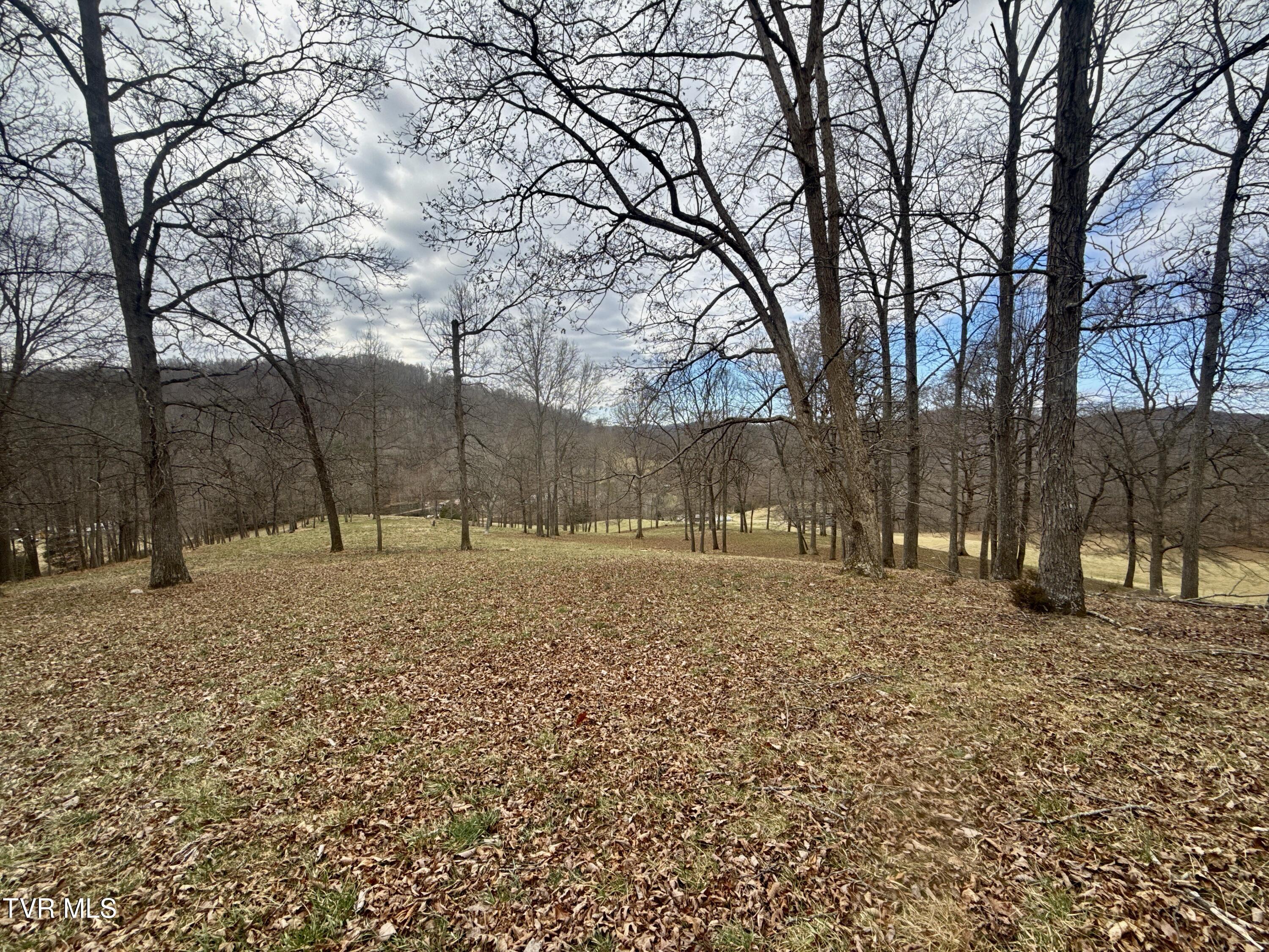 219 Ridge Road Eidson, TN 37731 - Photo 32 of 63 _Pic31 (26)