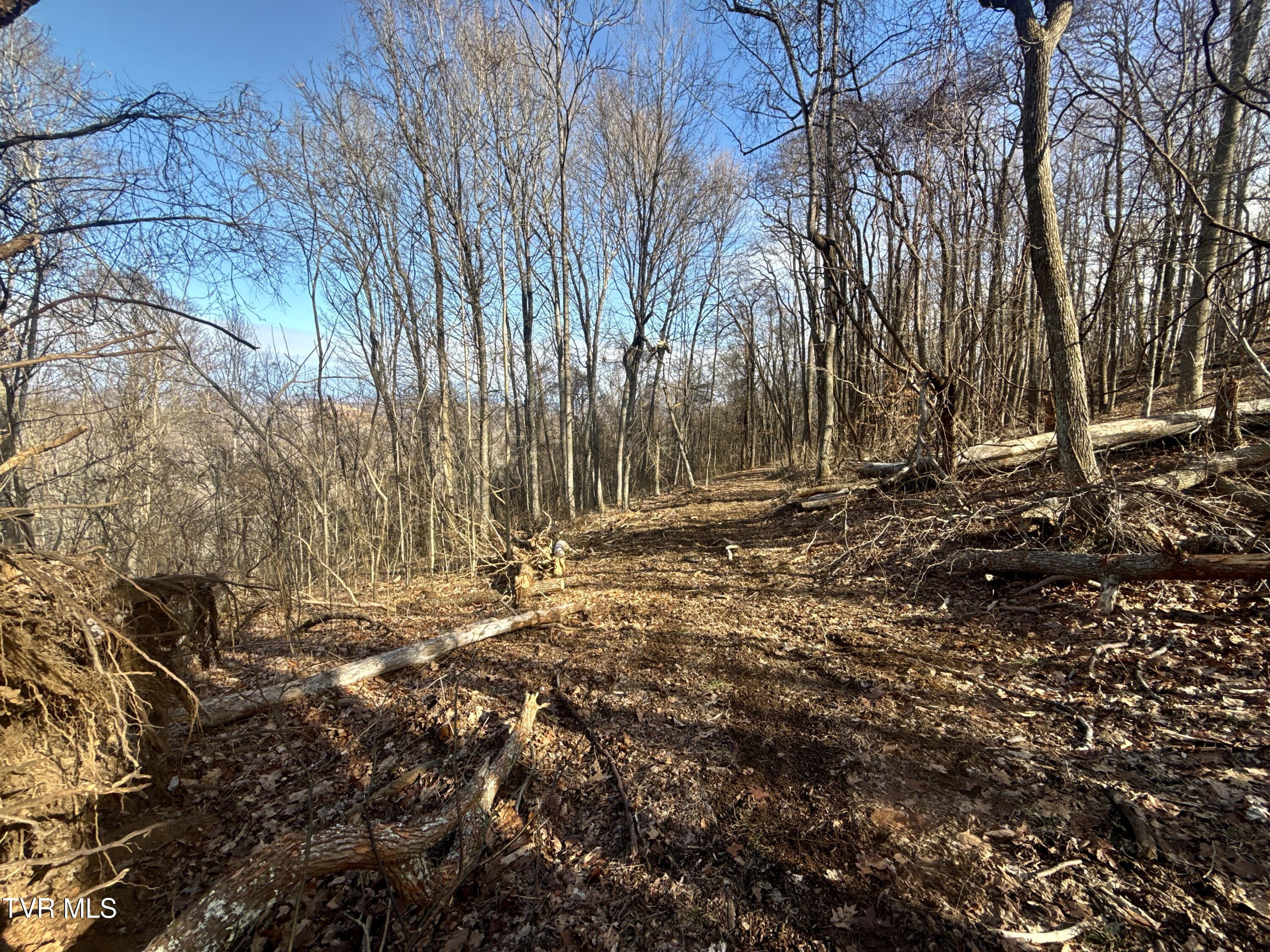 219 Ridge Road Eidson, TN 37731 - Photo 35 of 63 _Pic35 (24)