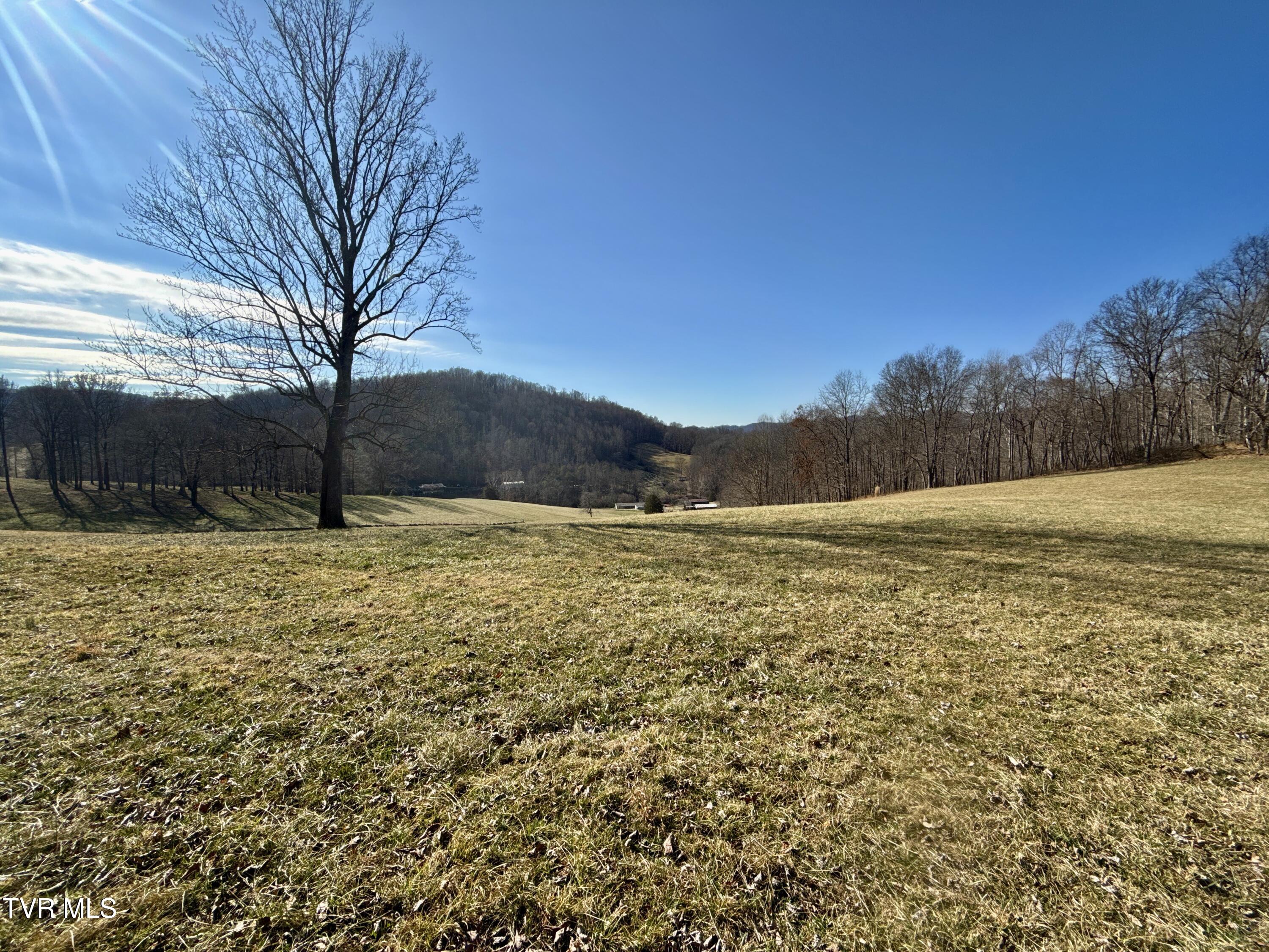 219 Ridge Road Eidson, TN 37731 - Photo 36 of 63 _Pic40 (20)