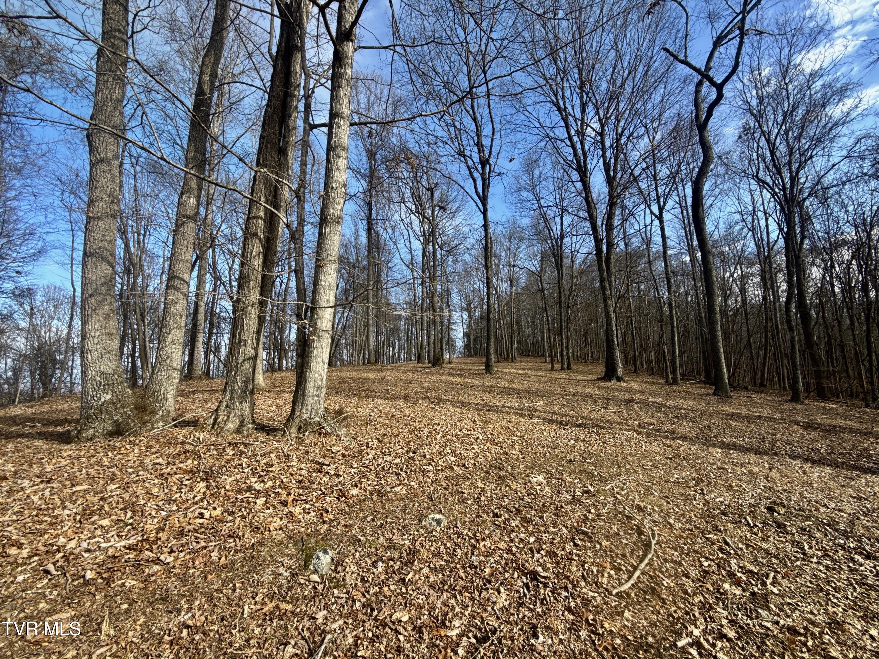 219 Ridge Road Eidson, TN 37731 - Photo 38 of 63 _Pic37 (21)