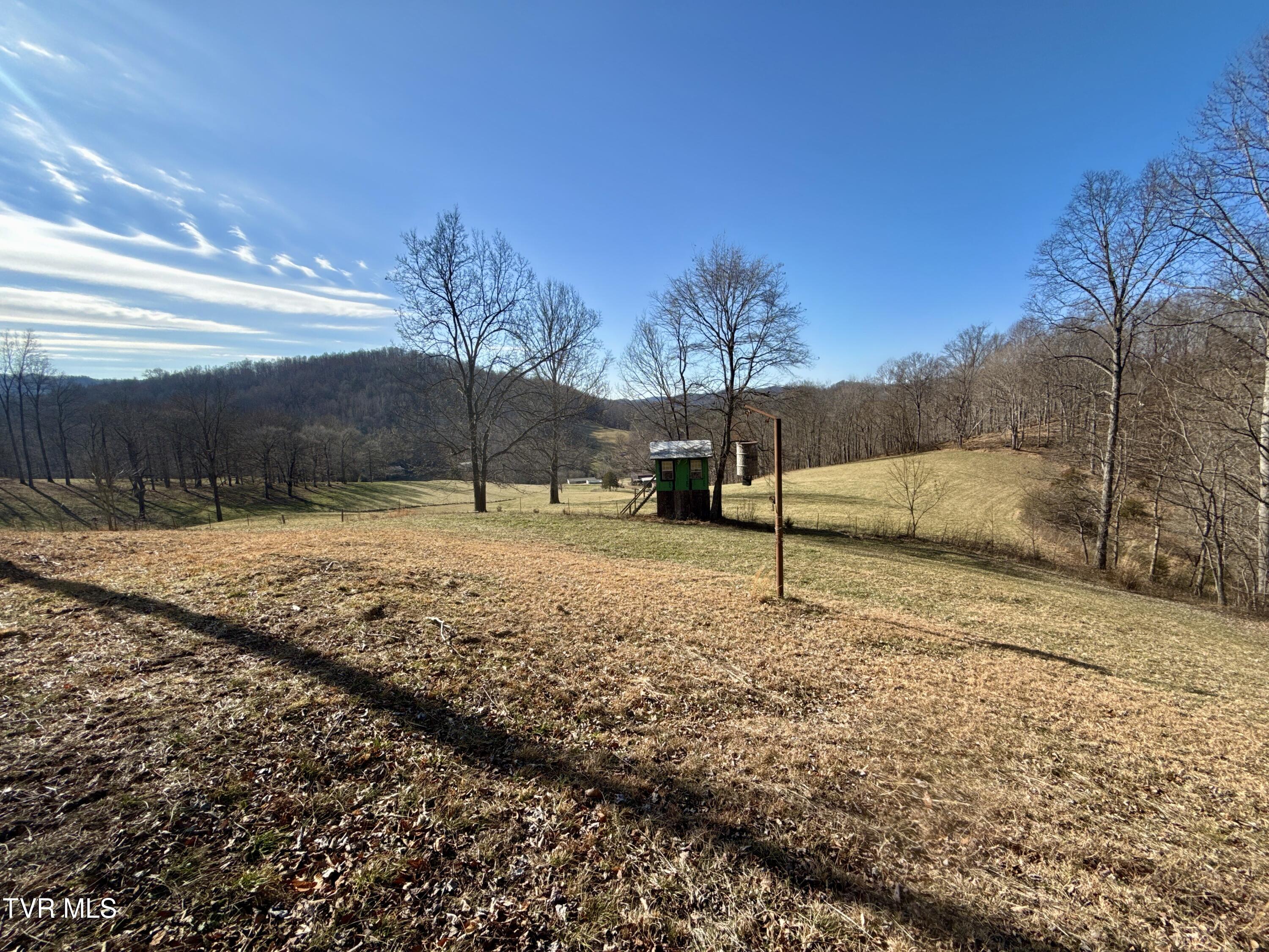 219 Ridge Road Eidson, TN 37731 - Photo 40 of 63 _Pic38 (19)