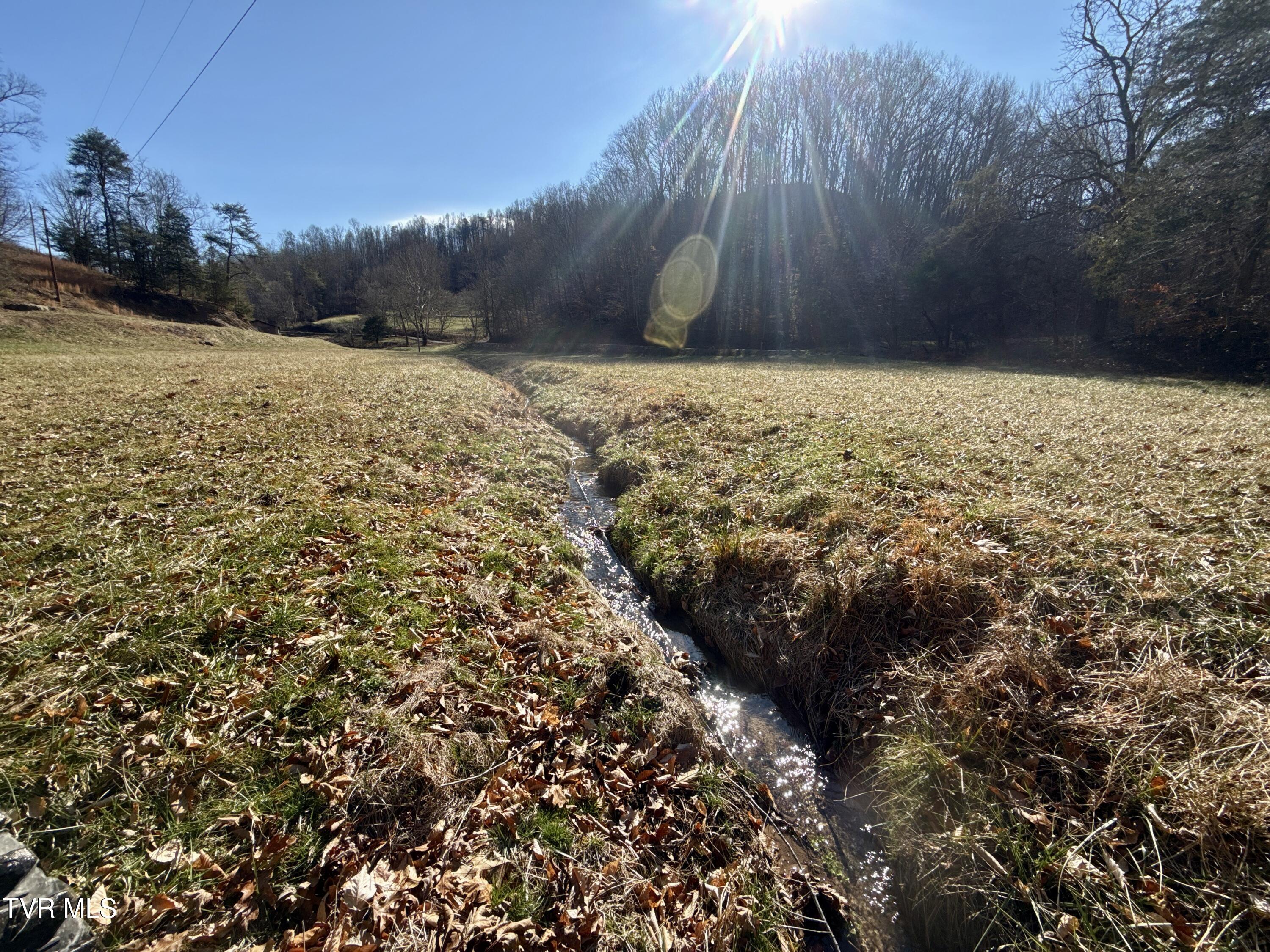 219 Ridge Road Eidson, TN 37731 - Photo 4 of 63 _Pic4 (38)