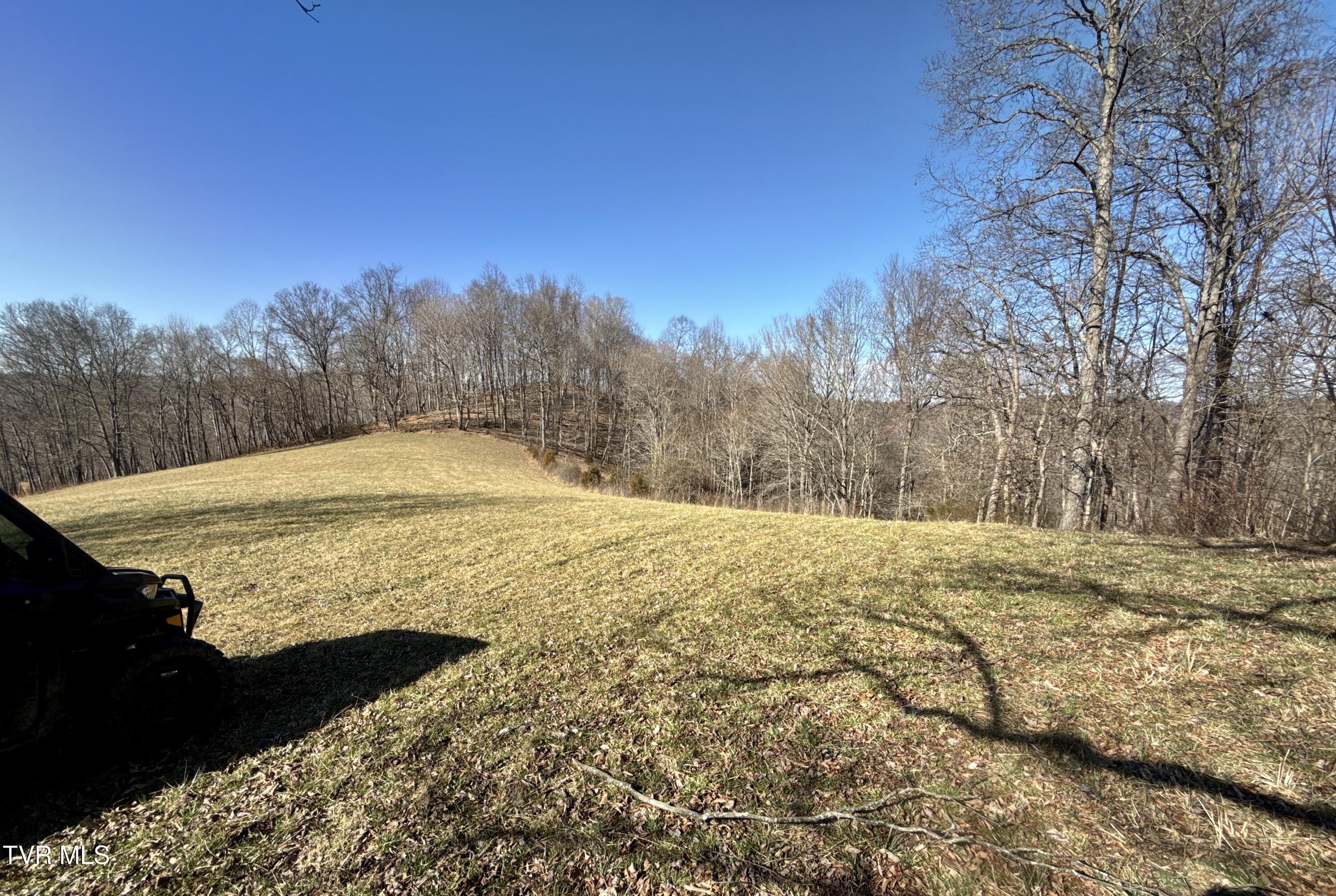 219 Ridge Road Eidson, TN 37731 - Photo 48 of 63 _Pic46 (14)