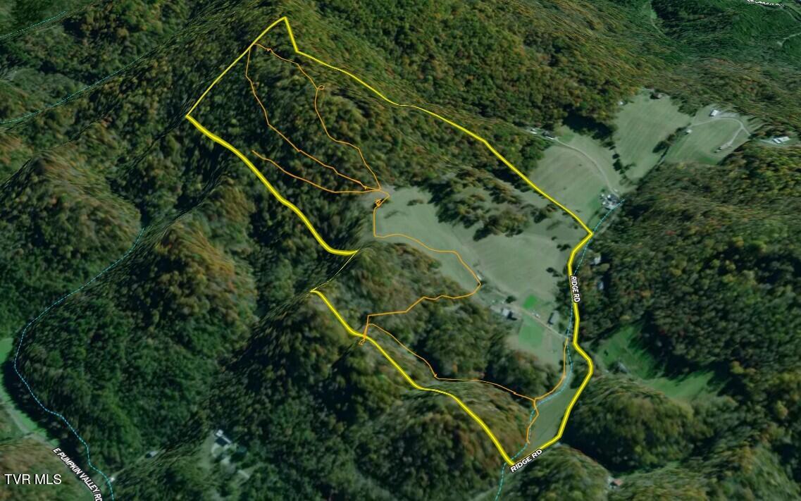 219 Ridge Road Eidson, TN 37731 - Photo 5 of 63 _Pic5 (37)