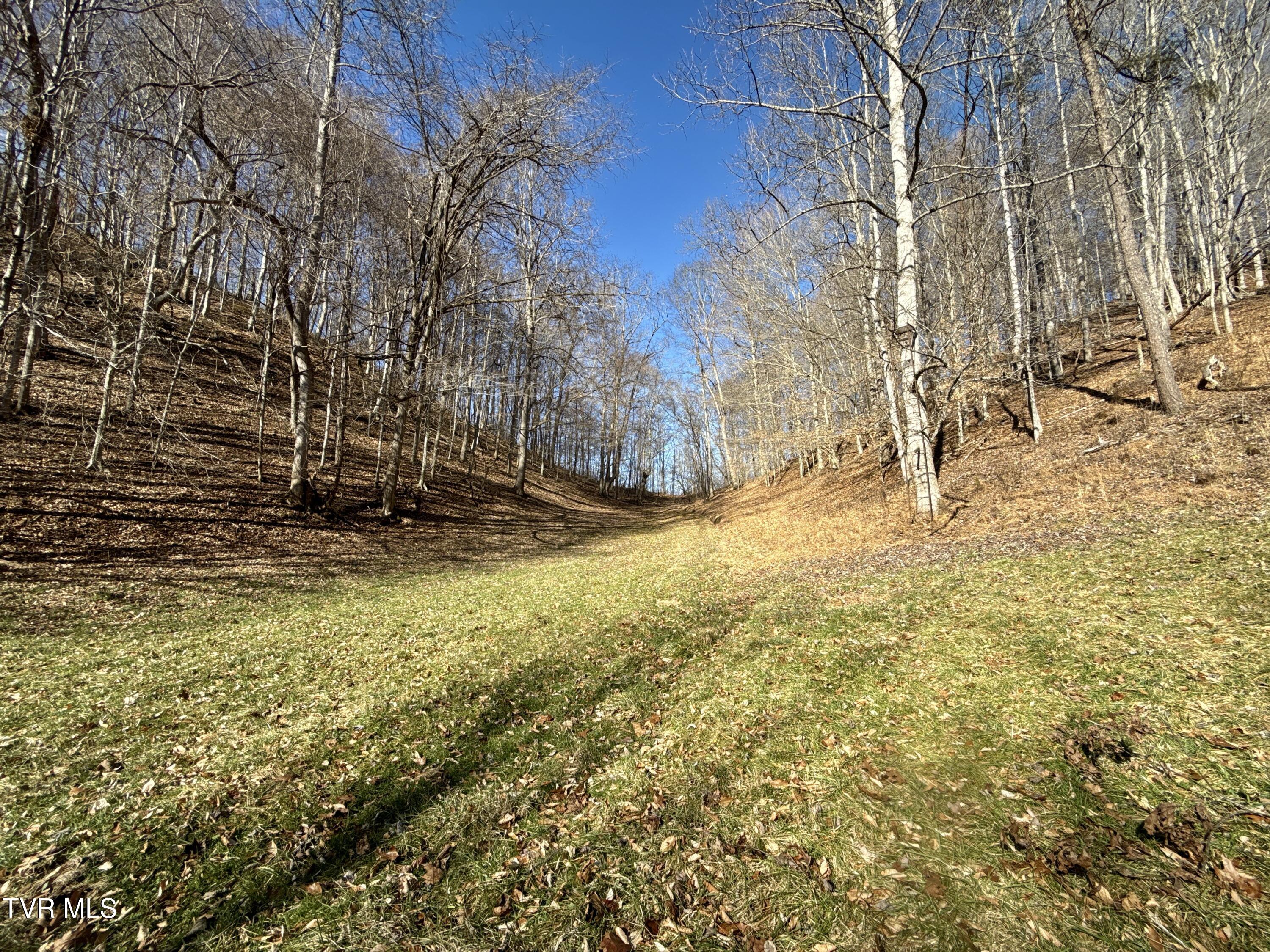 219 Ridge Road Eidson, TN 37731 - Photo 55 of 63 _Pic55 (12)