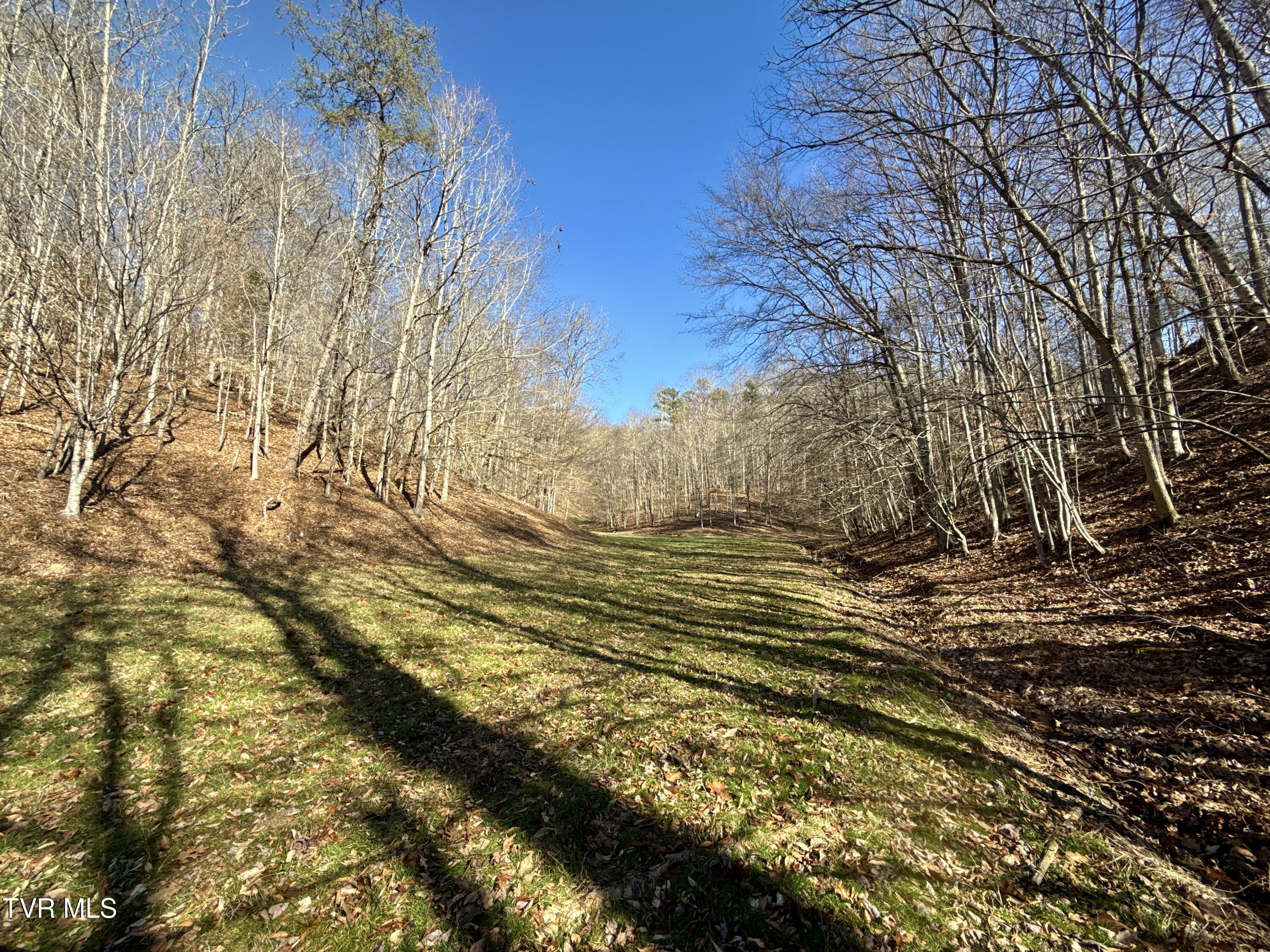 219 Ridge Road Eidson, TN 37731 - Photo 58 of 63 _Pic58 (13)