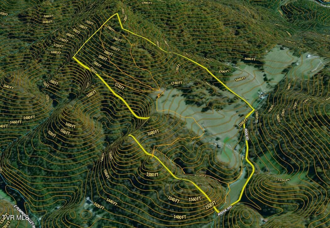 219 Ridge Road Eidson, TN 37731 - Photo 61 of 63 _Pic61 (11)