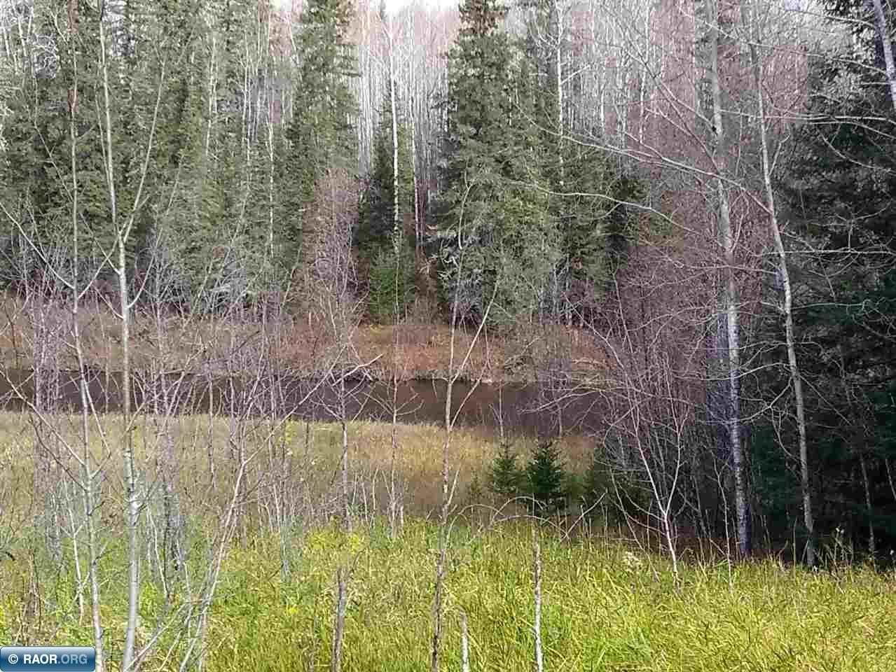 1998 Range Line Road Cook, MN 55723 - Photo 5 of 25 Gallery Image 5