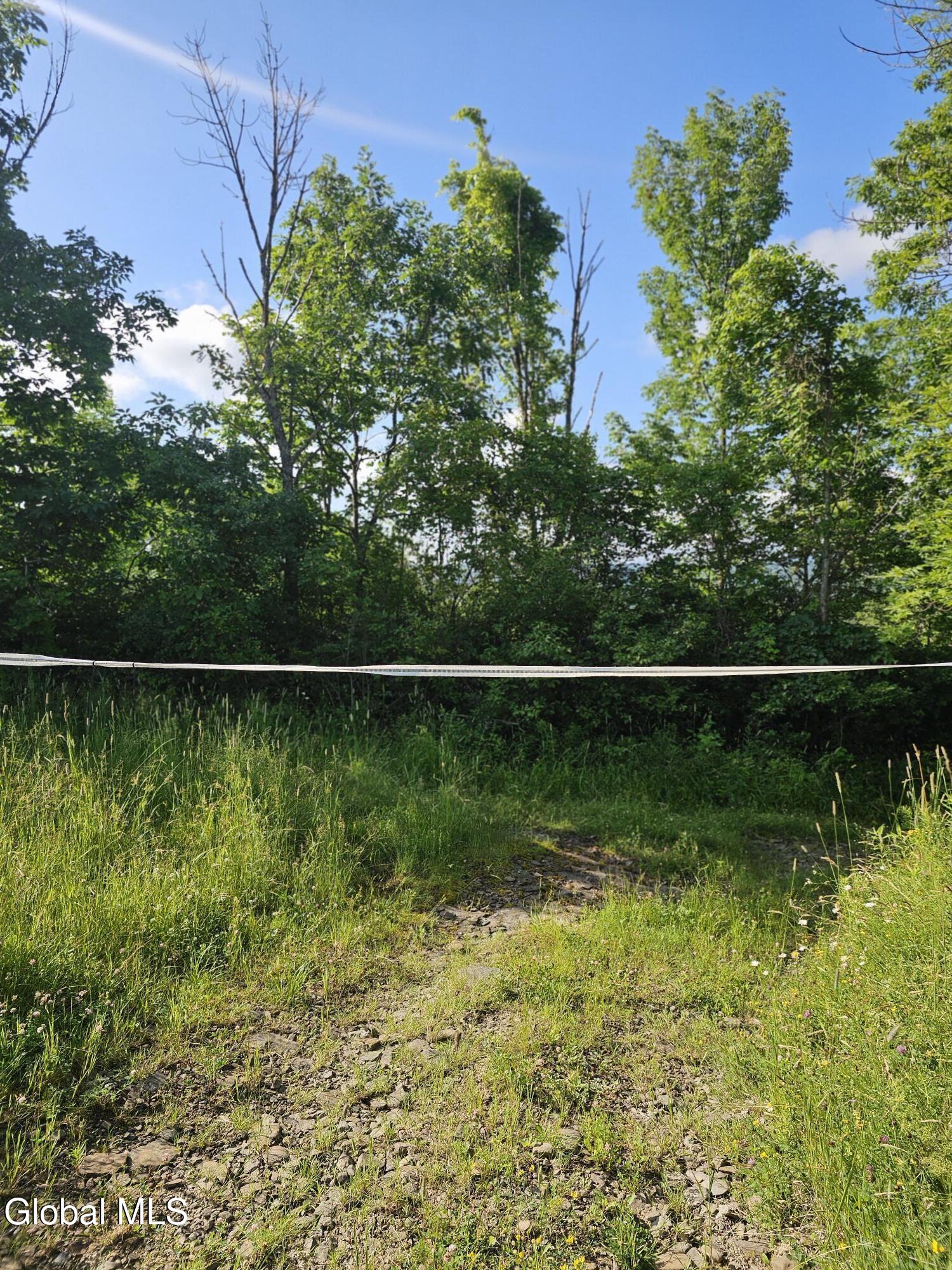 L-11 Earls Road Middleburgh, NY 12122 - Photo 12 of 15 20260709_090434
