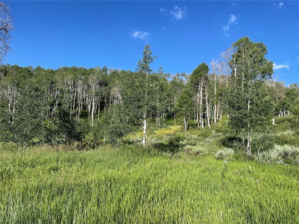 27200 Frisco Place Clark, CO 80428 - Photo 2 of 10 a view of a green field