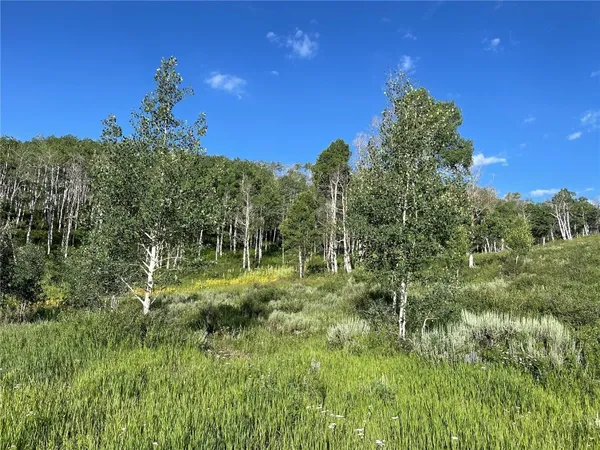 a view of a lush green space