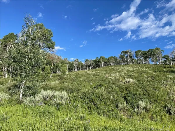 a view of a green field